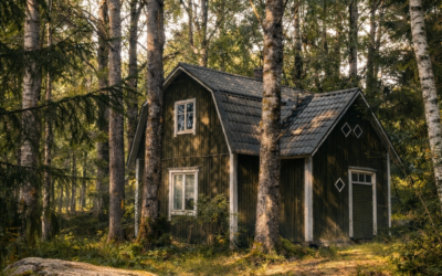 Luontolähtöinen hyvinvointi – paluu kehon ja luonnon rytmiin